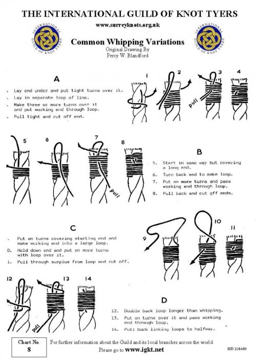 8_Common_Whipping_Variations.jpg