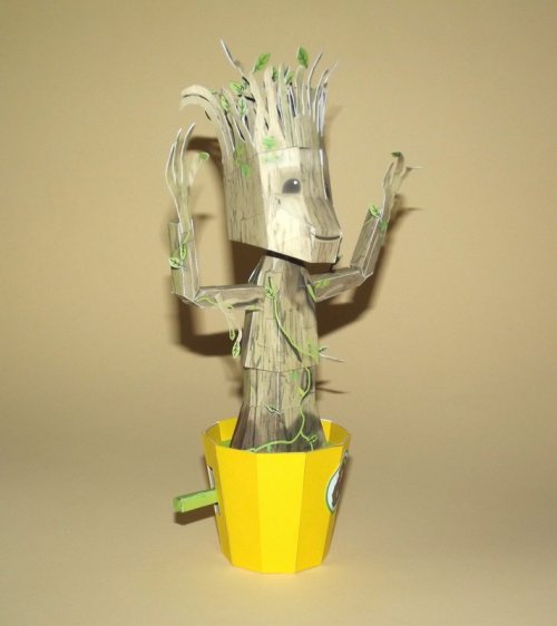 DSCF0869.jpg