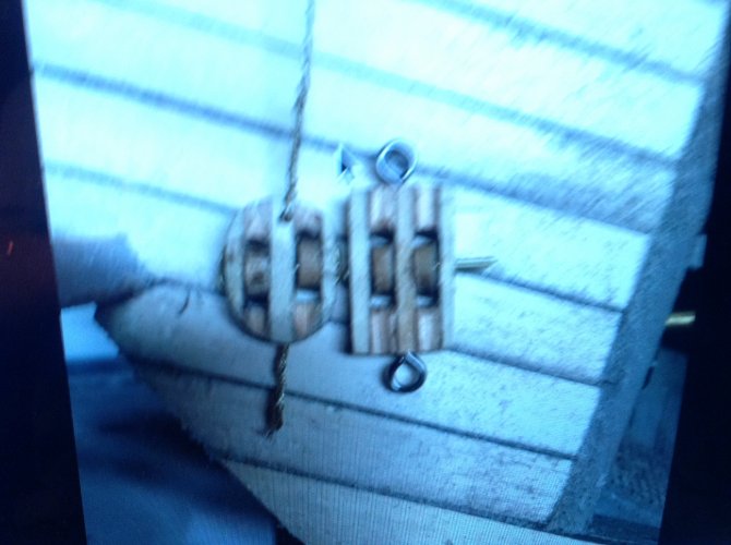 image.jpeg