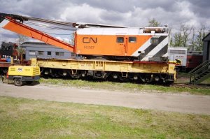 Grue 1.jpg