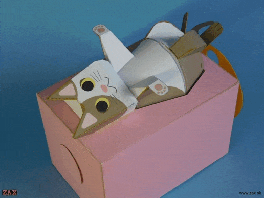 Spread Eagle-cat-gif.gif