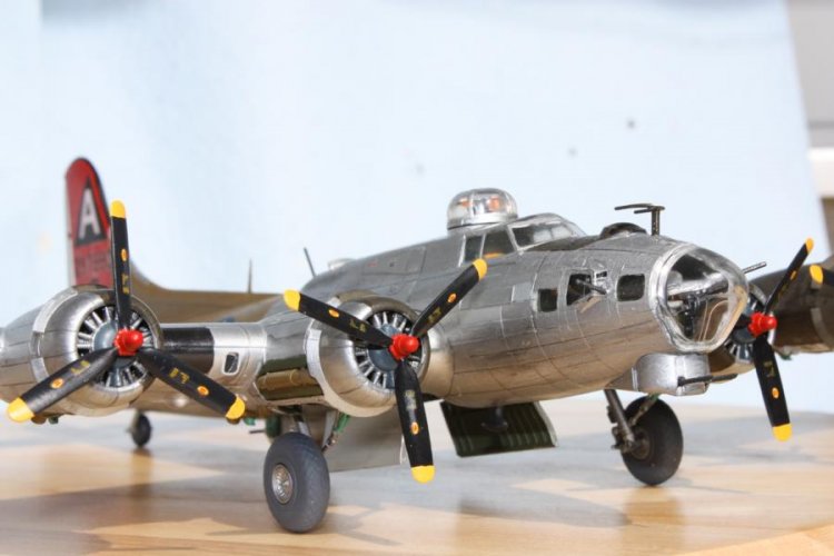 K800_B17G (22).JPG