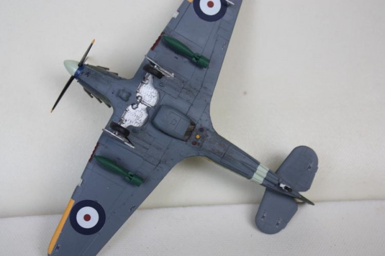 K800_Mustang (1).JPG