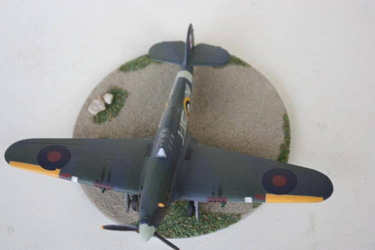 K800_Mustang (2).JPG