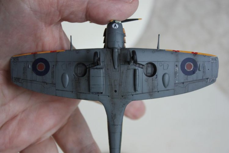 K800_Spifire (1).JPG