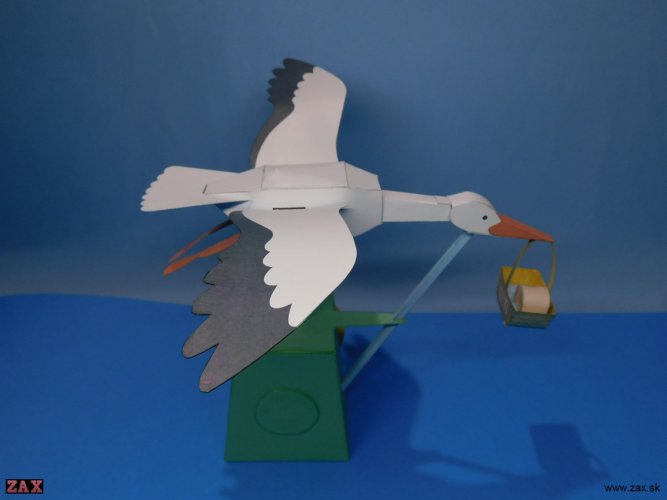 DSCN5778.jpg