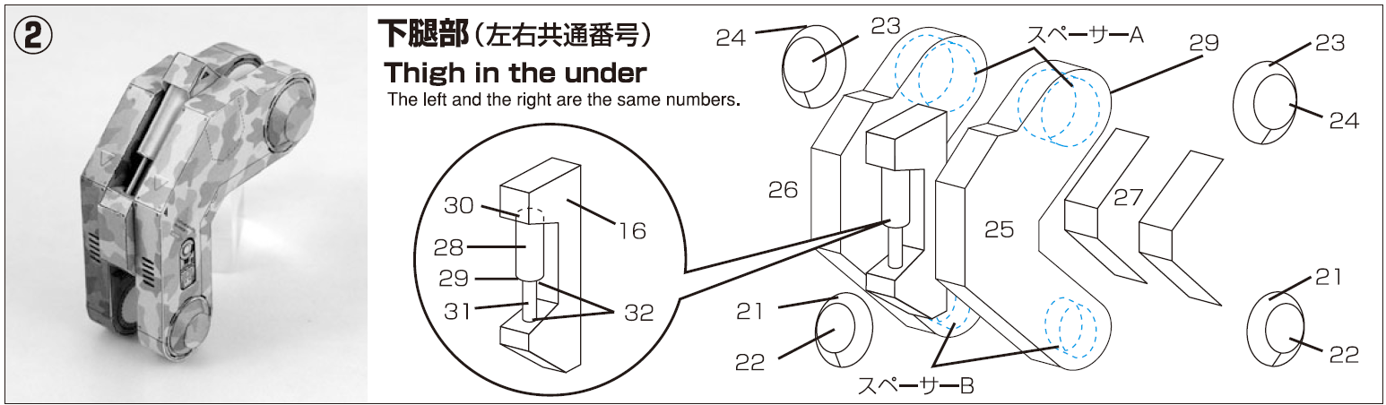 Lower leg.png