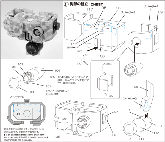 Chest-upper torso.png