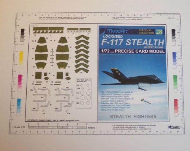 f117ds-img1.JPG