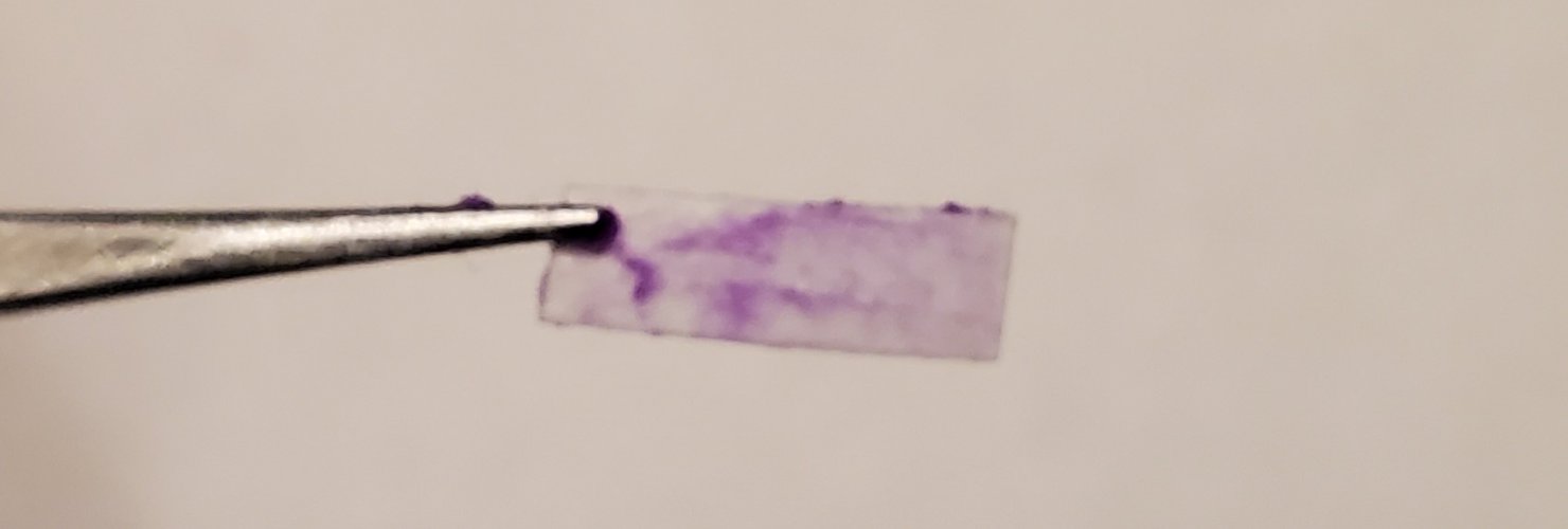 20231228_114107.jpg