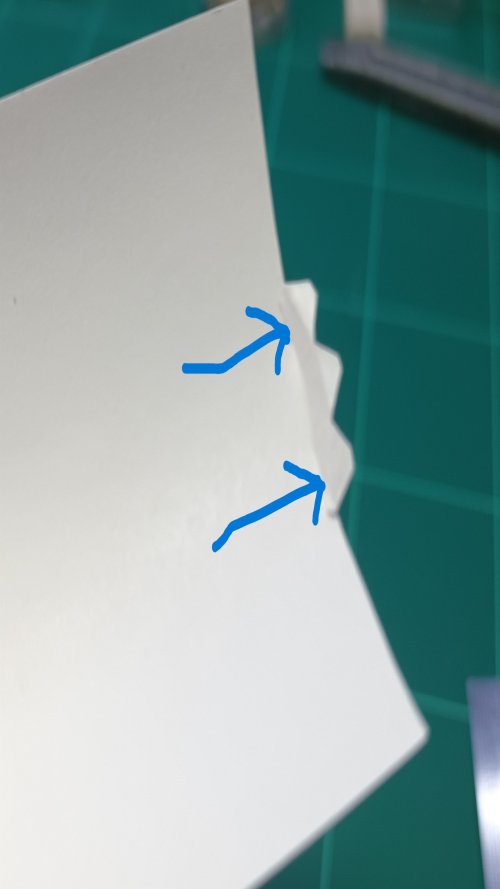 20240123_224531.jpg
