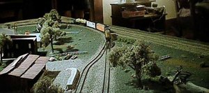atraina4.jpg