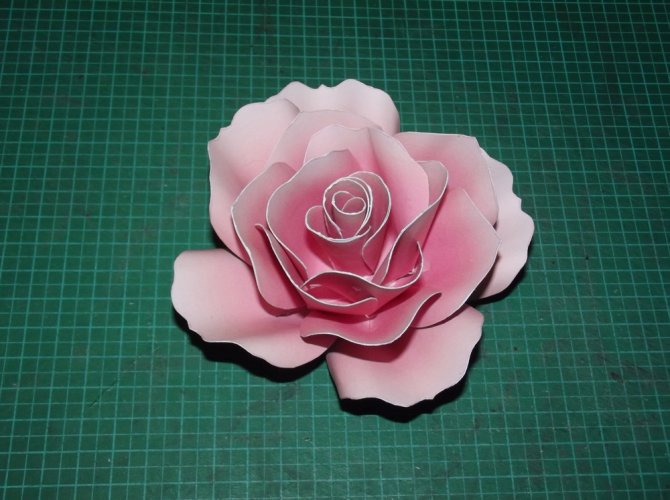 DSCF3099.jpg