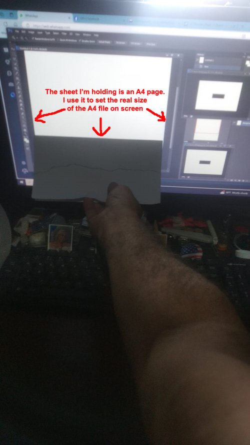 B.jpg