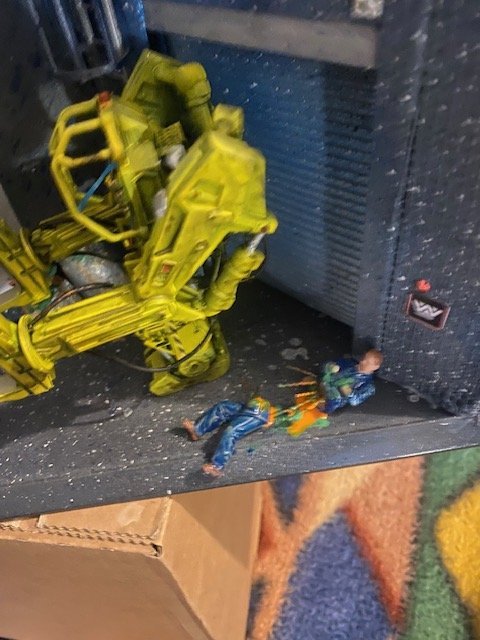 image5.jpeg