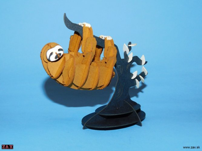 DSCN5179.jpg