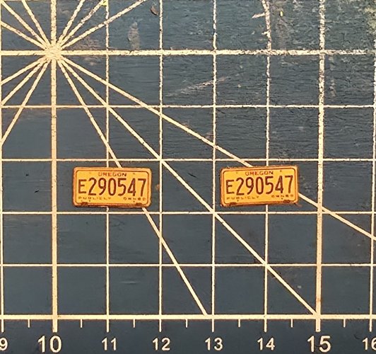 20250309_153804.jpg