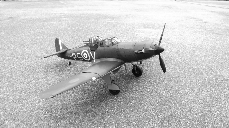 DEF - 65.JPG