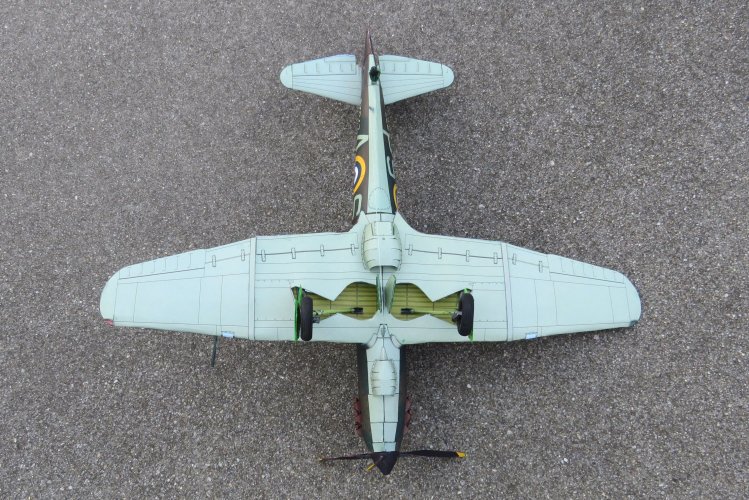 DEF - 62.JPG