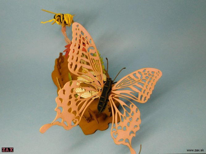 DSCN7235.jpg