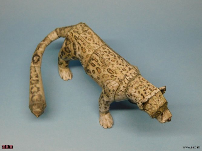 DSCN7665.jpg