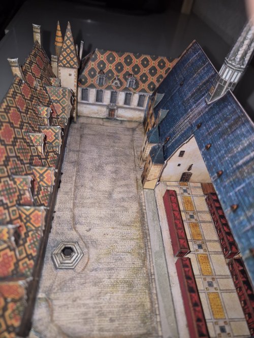 20250915_082540_Bildgröße ändern.jpg