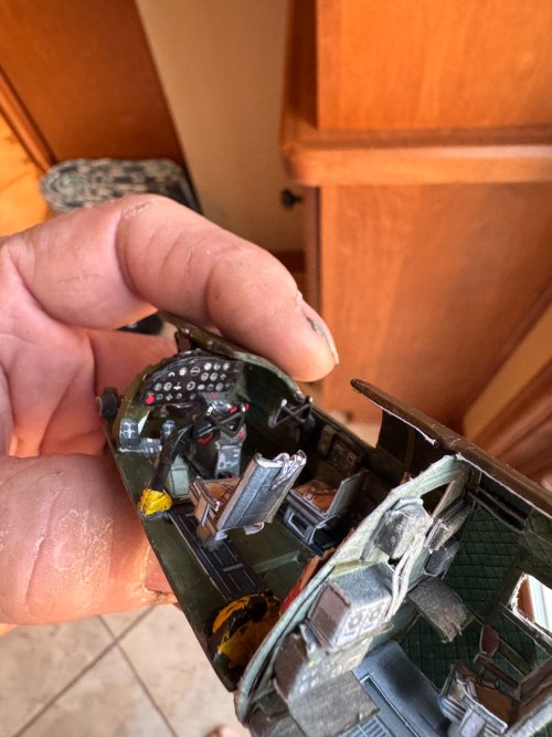 IMG_5688.jpg IMG_5688.jpg