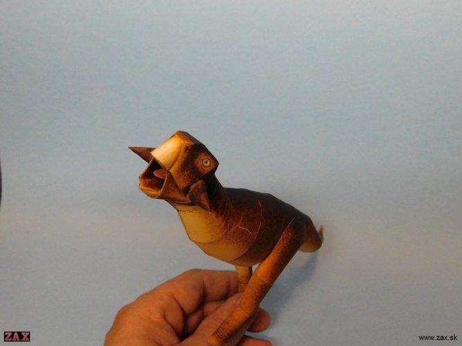 DSCN2231.jpg DSCN2231.jpg