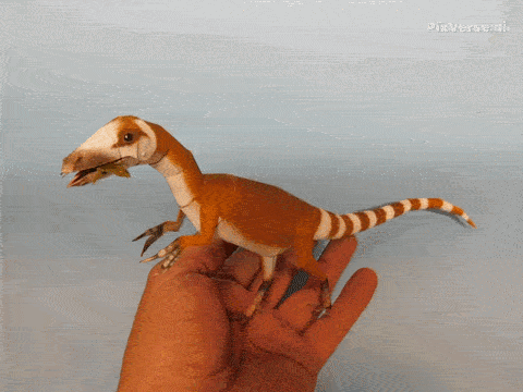 SinosauropteryxGIF.gif