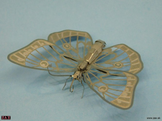 DSCN3867.jpg
