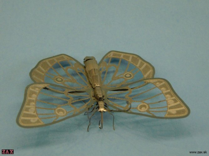 DSCN3868.jpg