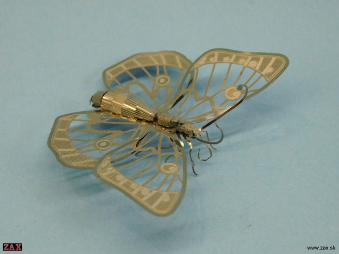 DSCN3869.jpg
