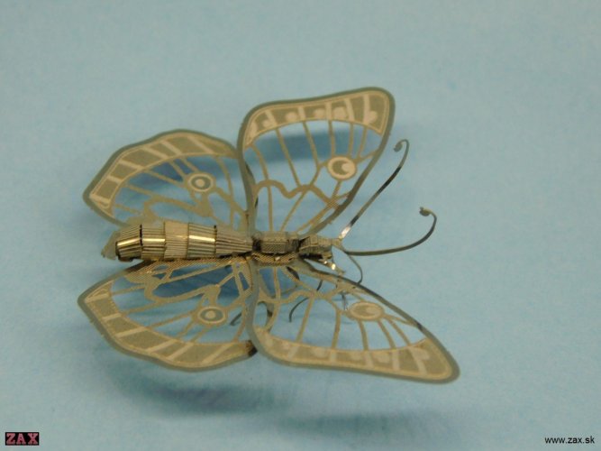 DSCN3870.jpg