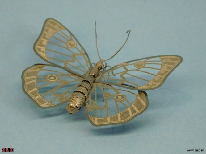 DSCN3871.jpg