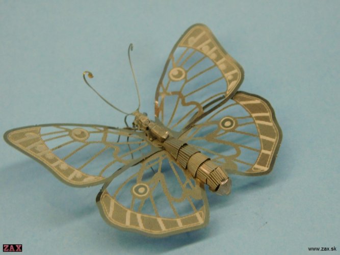 DSCN3872.jpg