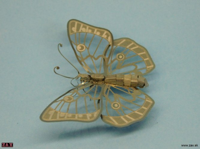 DSCN3874.jpg