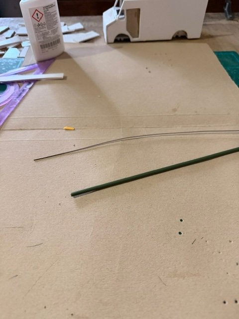 image4.jpeg