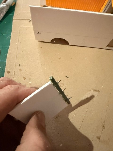 image5.jpeg