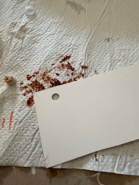 image8.jpeg