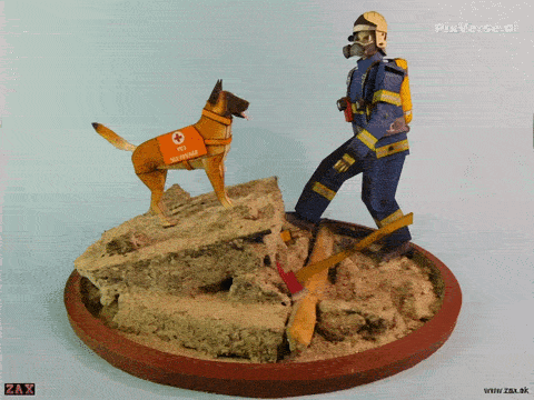 Zachranarskytim GIF.gif