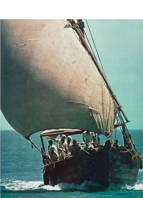 Mast with Hoops rings Lateen rigged.jpg