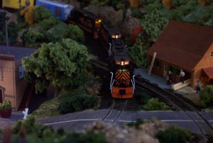 DCP_3417 low res 1.jpg