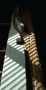 YY001.gif