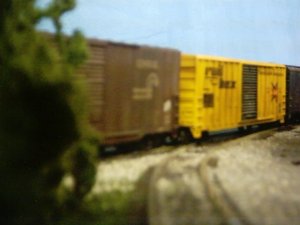 DIGI0049.JPG