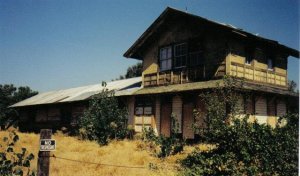 spdepotesparto (Small).jpg