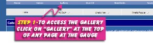 Gallery 1.jpg