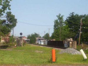 Picture-003.jpg