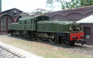 crocodile1a.JPG