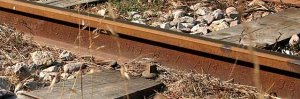 rail.jpg