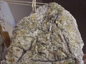 rock face b.jpg